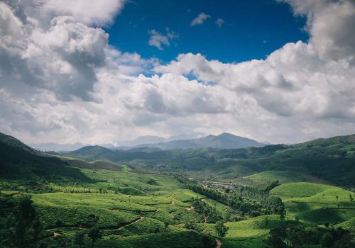 munnar travel guide
