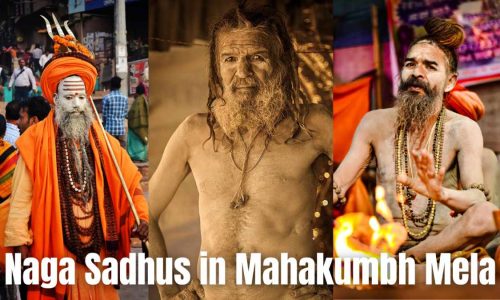 naga sadhus in mahakumbh mela