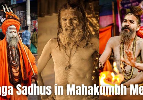 naga sadhus in mahakumbh mela