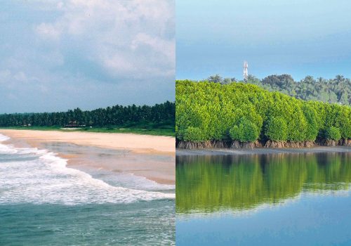 places to visit kannur