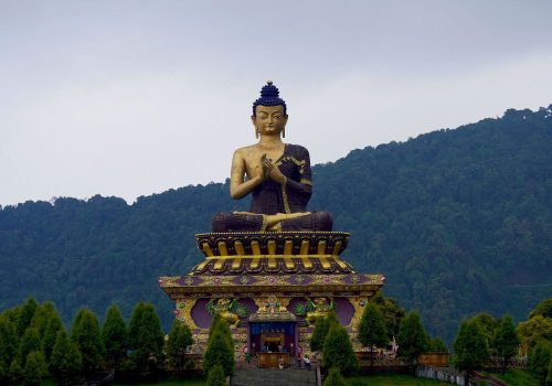 sikkim fully literate