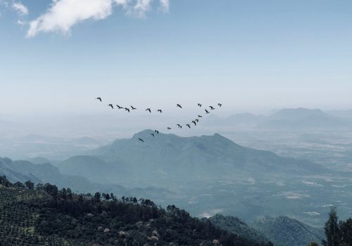 tamil-nadu-mountain