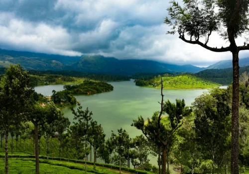 How To Explore Wayanad? Here’s Your Guide To Kerala’s Offbeat Location