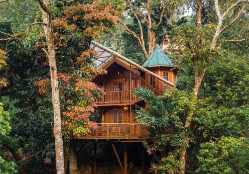 tree-house-8