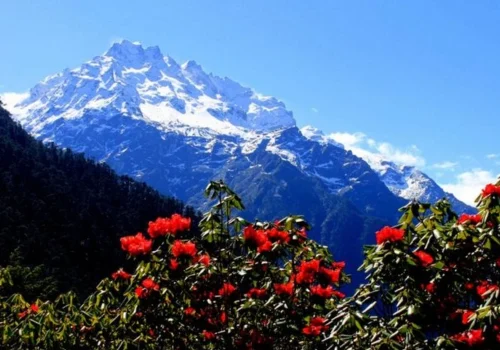 Yumthang Valley in Sikkim